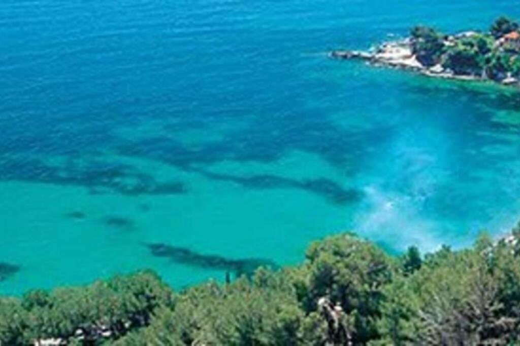 Alloggio Per Vacanze A Isolabona Eksteriør billede